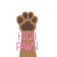 High Five Paws Sticker by BorrowMyDoggy