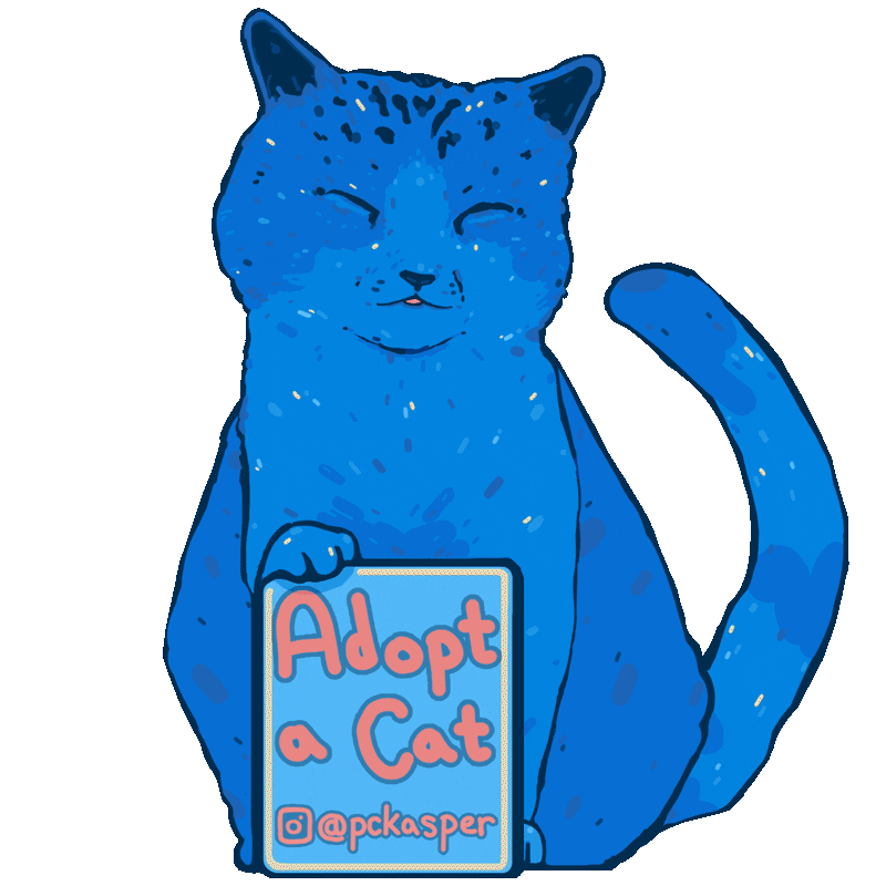 pckasper giphyupload cat cats stars Sticker