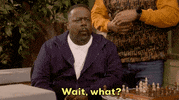 Wait What Wtf GIF by CBS