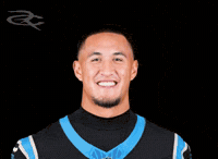 Carolina Panthers GIF by Respective