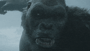 Godzilla Vs Kong Game GIF by Call of Duty