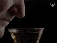 Found Footage Video GIF by Eternal Family