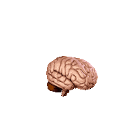 Test Books Sticker by UCLA