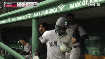 Sport Hug GIF by MLB