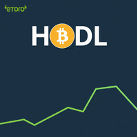 Bitcoin Hodl Crypto GIF by eToro