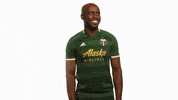 Portland Timbers Mabiala GIF by Timbers