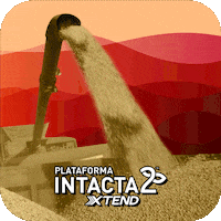 Bayer Intacta GIF by intactarr2pro