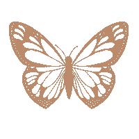 Butterfly Flying Sticker