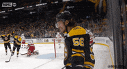 Ice Hockey Sport GIF by NHL