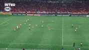 Libertadores Da America Colorado GIF by Sport Club Internacional