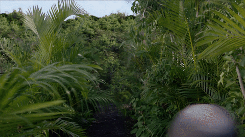 GIF by CBS