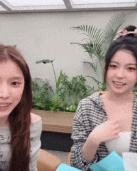 Nmixx GIF