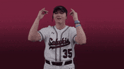 siusalukis siu salukis siusoftball salukisoftball GIF