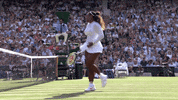 come on tennis GIF by Wimbledon