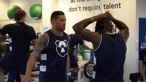 GIF by Bristol Bears