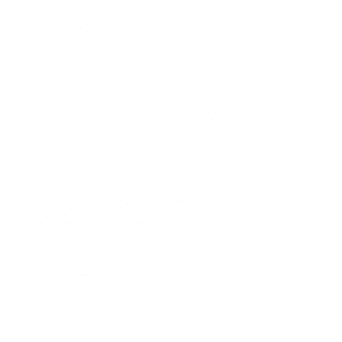 primera division soccer Sticker by Claro Costa Rica