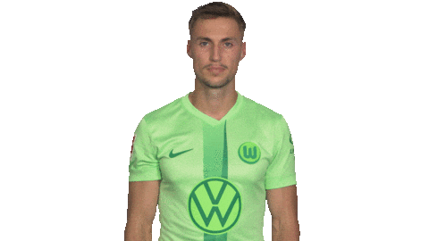 Happy Germany Sticker by VfL Wolfsburg