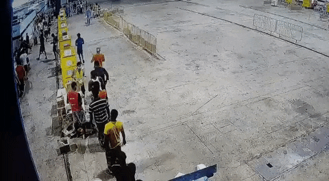 zhangxinzheng giphyupload GIF