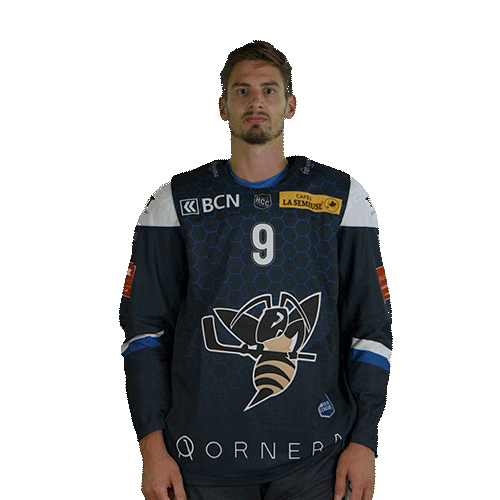 hcclachauxdefonds giphyupload hockey oliver 9 Sticker