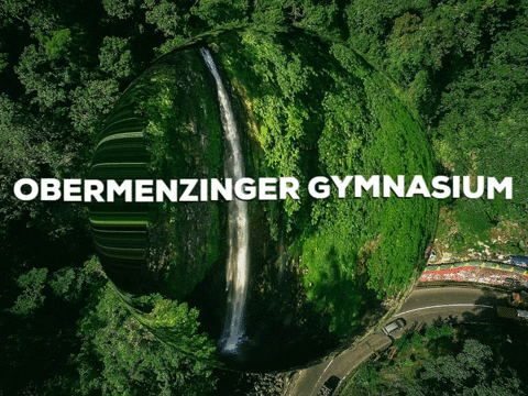 Fun Party GIF by PrivatschulenPORTAL.de