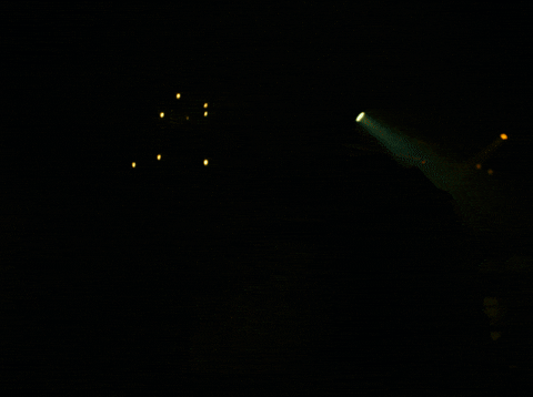 Brett Anderson GIF by Suede