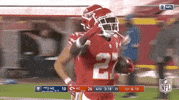 Kansas City Chiefs Football GIF by NFL