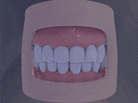 c4d GIF by Martin Onassis