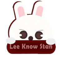 Stray Kids Stay Sticker