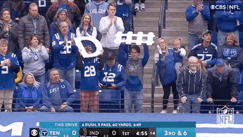 National Football League GIF by NFL