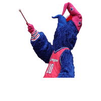 Washington Wizards Basketball Sticker by G-Wiz