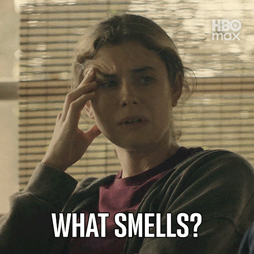 Task What Smells GIF by HBO Max