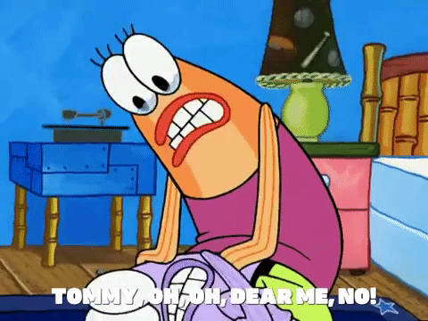 season 5 GIF by SpongeBob SquarePants