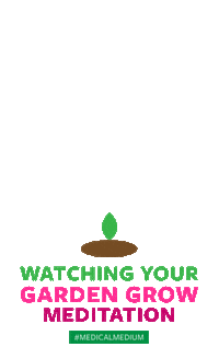 Anthony William Meditation Sticker by Medical Medium