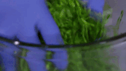 GIF by Food Network