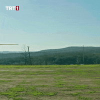 Bow And Arrow Ok GIF by TRT