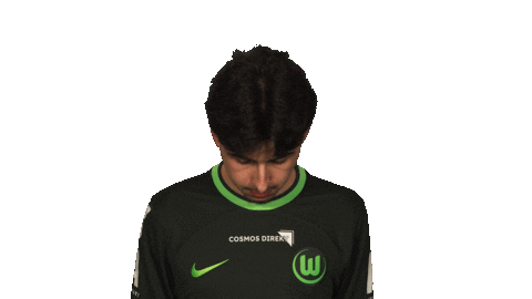 Wolfsburg Fabio Sticker by Bundesliga