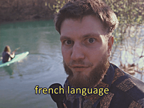 French Fun GIF by Georges Z