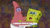 season 9 GIF by SpongeBob SquarePants