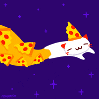 cat fox GIF by Animation Domination High-Def