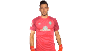 Jiri Pavlenka Thumbs Up Sticker by SV Werder Bremen
