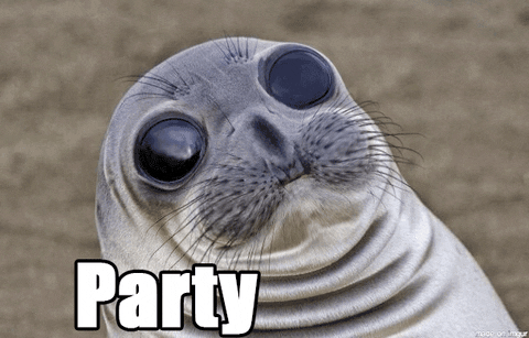 party seal GIF
