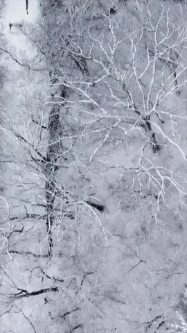 Mesmerizing Drone Footage Captures Wintry Scene in Massachusetts
