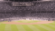 big cat kfc GIF by Barstool Sports