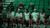 emueagles goeagles GIF by EMU Athletics