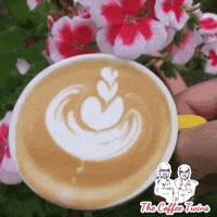 Flat White Instagram GIF by The Coffee Twins