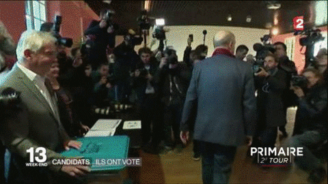 Vote GIF by franceinfo