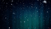 Let It Snow Christmas GIF by echilibrultau