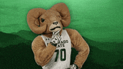 Csurams Gorams GIF by Colorado State Rams