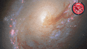 Stars Falling GIF by ESA/Hubble Space Telescope