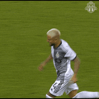 Bmo Field Football GIF by Toronto FC